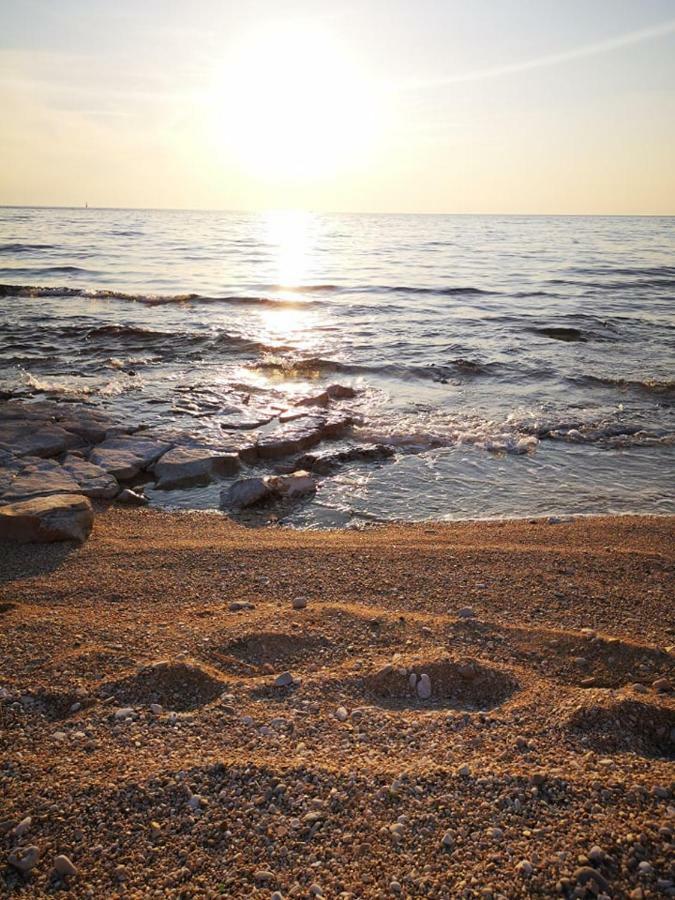Apartmani Rita Kiwi Novigrad Istria Exteriér fotografie